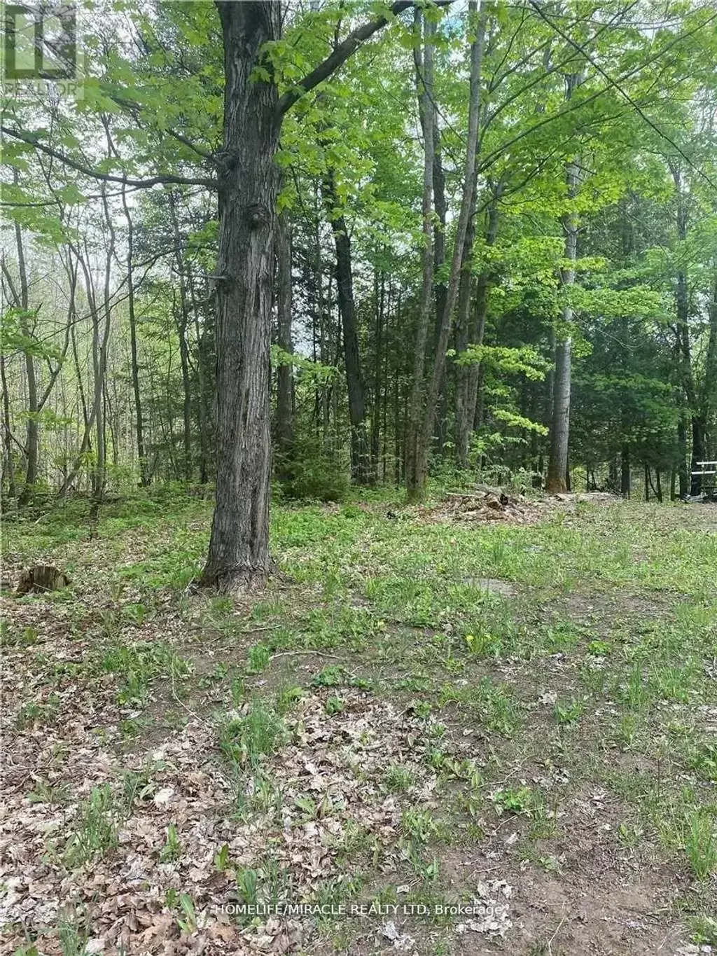 3460 Harburn Road, Dysart et al (Harburn)